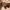 bo-paint-winkel-25